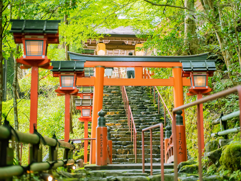 visit Japan